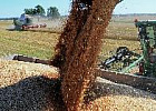 Россия запустит подпрограмму поддержки экспорта продовольствия с 2017 г. Россия запустит подпрограмму поддержки экспорта продовольствия с 2017 г.